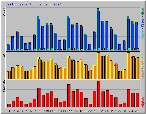 Daily usage for January 2024