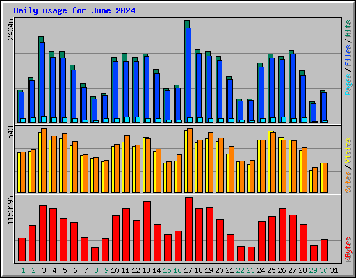 Daily usage for June 2024