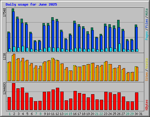 Daily usage for June 2025