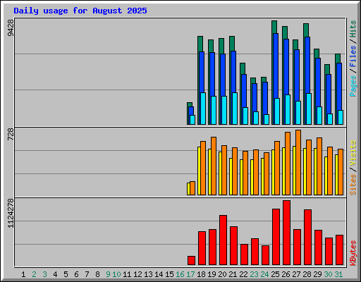 Daily usage for August 2025
