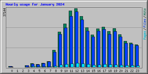 Hourly usage for January 2024