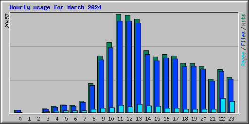 Hourly usage for March 2024