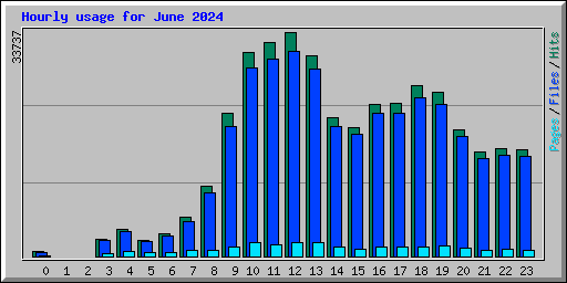 Hourly usage for June 2024