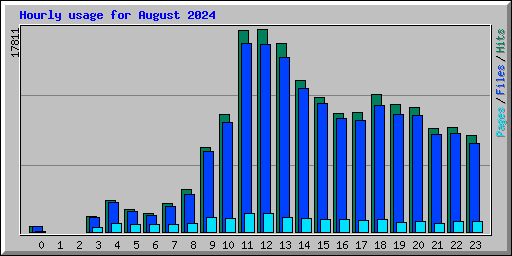 Hourly usage for August 2024