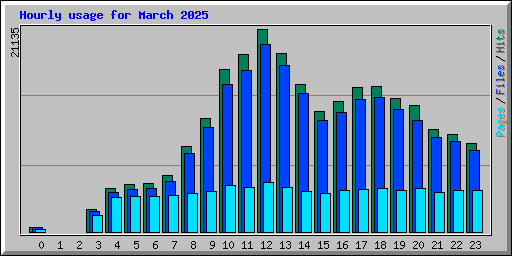 Hourly usage for March 2025
