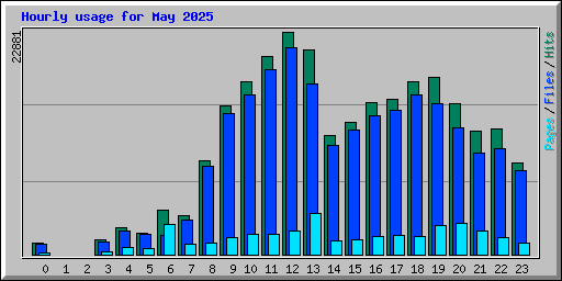 Hourly usage for May 2025