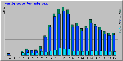Hourly usage for July 2025