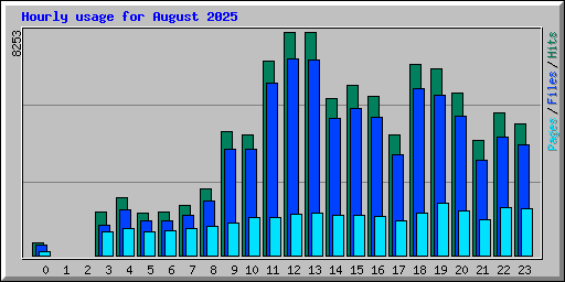 Hourly usage for August 2025