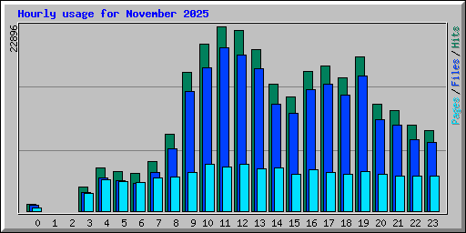 Hourly usage for November 2025