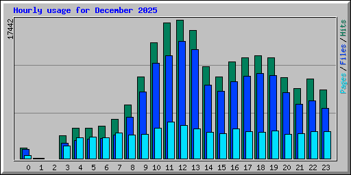Hourly usage for December 2025