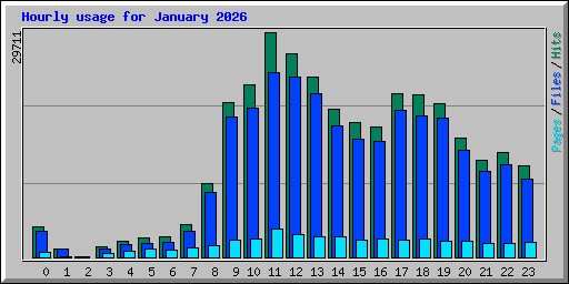 Hourly usage for January 2026